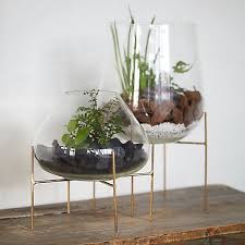 Tall Terrarium Brass Stand Terrain In 2020 Beautiful Terrariums Terrarium Large Terrarium