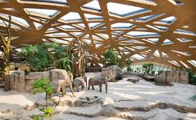 Elefantenhaus Zurich Google Suche Zoo The Zoo Zoo Park