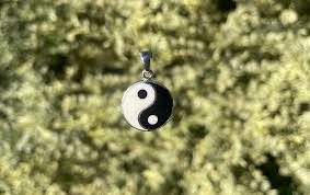 Taoist Yin Yang Necklace