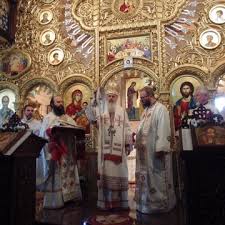 Imagini pentru radu preda preot