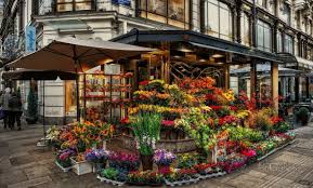 Are you looking for a reliable and good florist close to you? Deviantart Where Art Meets Application Flower Shop Beautiful Flowers Flower Store