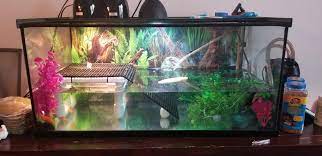 It's also important to if your basking platform doesn't provide an easy way for your turtle to climb onto it, you may. Made A New Diy Basking Platform Ramp For My Turtles Looking For Advice On How To Improve My Setup Turtle