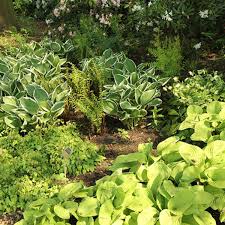 May 26, 2021 · it's almost time for mums, pansies, sedum, and all of your other favorite fall flowers. Keys To Success When Rearranging Garden Plants Horticulture