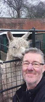 We were very sad today to learn of Iceman passing away, aged 23... the  final remaining alpaca in the park😢 Will miss seeing him gently chilling  out in the animal centre. Rest