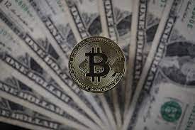 If there is going to be any change in the exchange rate of $ to btc, recalculation of the amount will be done automatically when the page is refreshed. Paypal Will Let You Buy With Bitcoin Btc But Why Would You Bloomberg