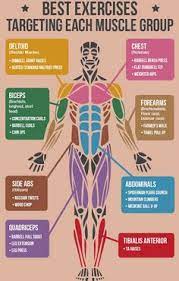 As a fitness professional and an exam candidate, there is no way of getting around the fact that you need to know your anatomy! 7 Best Body Muscles Names Ideas Muscle Names Workout Fitness Tips