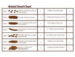 A super handy visual tool called the bristol stool chart is here to help you diagnose what may be going on. Wondergut The Power Of Your Poo