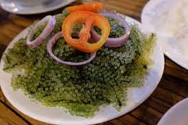 Lato se descargó 955,536 veces. Lato Bild Von Tatoy S Manokan And Seafoods Panay Island Tripadvisor