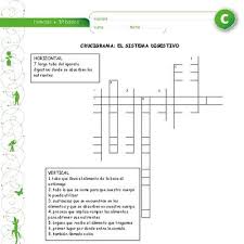 En español, con pistas y guardado automático. Crucigrama La Digestion Curriculum Nacional Mineduc Chile
