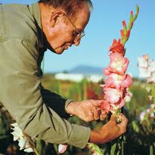 Pin On Gardening