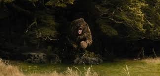 Check spelling or type a new query. Beorn Erzahlt Von Seiner Rolle Im Hobbit Universum