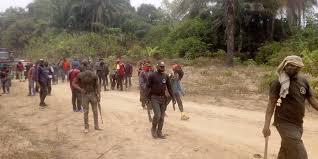 Legit.ng news ★ the national drug law enforcement agency has released shortlisted names for ndlea said candidates should come with a certificate of medical fitness from a government hospital. Vast Cannabis Farm Discovery Stun Ndlea Operatives In Delta Elombahnews