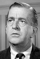 Perry Mason Actor Page