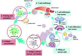 The Application Of Nanotechnology In Enhancing Immunotherapy For Cancer Treatment Current Effects And Perspective Nanoscale Rsc Publishing