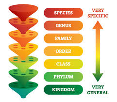 Classification Introduction