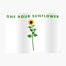Find & download free graphic resources for floral pattern. Vampire Weekend Wall Art Redbubble