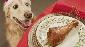 Can Dogs Eat Chicken Bones Barking Royalty Can Dogs Eat Chicken Dog Ate Chicken Bones Can Dogs Eat