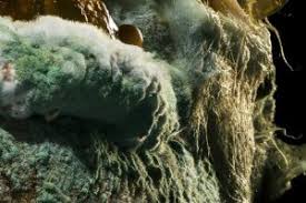 We did not find results for: 2020 Epica Awards Award Winners