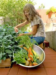 Check spelling or type a new query. Nmsu Seed To Supper Program Offers Free Online Course