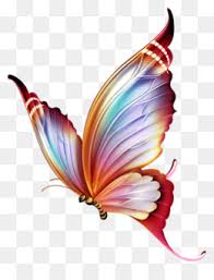 Download butterfly tattoo stock photos. Butterfly Tattoo Free Download 645 800 344 54 Kb