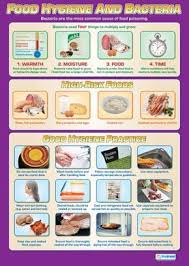 Food Hygiene And Bacteria Design Technology Educational Posters Hygienic Food Food Technology Food Safety And Sanitation