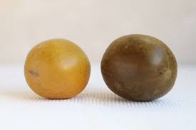 We offer unique and rare fruit and nut trees, shrubs, and vines. Ingredient Golden Monk Fruit