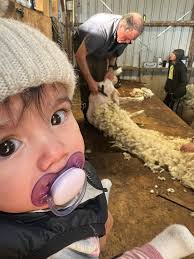 Nice to see these three working away in harmony today