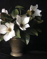 Posh Posy White Artificial Magnolia Floral Arrangement Vintage Gold Metal Vase 2 Jp White Flower Arrangements Artificial Floral Arrangements Floral Photography