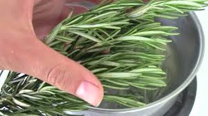 Rosemary is a wonderful herb that will help improve shine, but what it is most known for is its ability to. Diy Rosemary Hair Rinse For Healthy Scalp And Hair Youtube