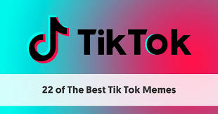 Hearts on tik tok are as important, if not more important than fans in order to achieve fame and glory. 22 Of The Best Tiktok Memes To Make Your Day