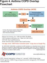 the new copd pocket consultant guide app journal of the