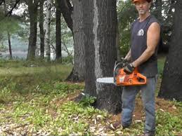 Hubby was digging around the trunk of the tree, taking his time in the heat with frequent breaks sitting on a chair. Cutting Down Trees And Milling Lumber Greenbuildingadvisor
