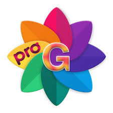 Photo gallery is a very useful app because you can organize and view your media files very fast. Gallery Plus Pro Apk 2 3 3 Descargar Para Android Com Maros Gallerypro