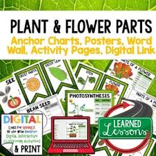 parts of plants anchor charts posters word wall activity pages google link