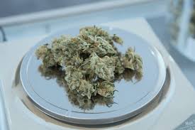 En méxico, el senado aprobó en lo general y lo particular la regulación del consumo personal lúdico de la marihuana en todo el país. Coolhuntermx El Futuro De La Legalizacion De La Marihuana En Mexico