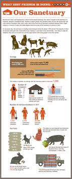 Learn More About The Best Friends Animal Sanctuary In Kanab Utah The Largest No Kill Sanctuary In The United Sta Animal Sanctuary Animal Society Rescue Dogs