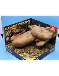 Image result for Exotheca