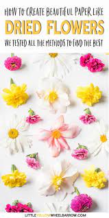 6 to 30 characters long; How To Dry Flowers We Tested 5 Different Methods To Find The Best