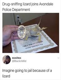 Justviral Net Find Viral Images Online Funny Memes Stupid Funny Memes Hilarious