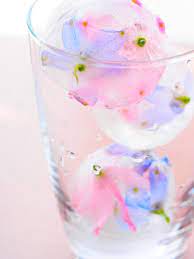 edible flowers in ice cubes 丸氷はかわいいけれど 花が思った通りの位置にいかなかった flower ice cubes flower ice floral ice