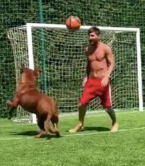 Lionel messi plays keep away with a football from his dog hulk. Lionel Messi Dog A Giant Mastiff Filmed Playing Soccer With Master