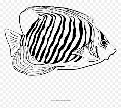 Fish and bubbles coloring sheet · ocean friends · fish and a dolphin coloring page · simple fish coloring pages · tropical fish · investigating the sea floor. Transparent Tropical Fish Png Fish Coloring Pages Png Download Vhv
