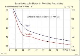 Why Exercise Is Ineffective For Fat Loss Mission Org Medium