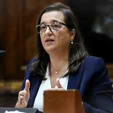 Helena Borges vai ao Parlamento prestar contas: IMI das barragens deixa  diretora-geral do Fisco debaixo de fogo