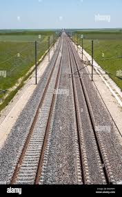 نتیجه جستجوی لغت [rails] در گوگل