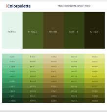 Check spelling or type a new query. 31 Latest Color Schemes With Apple Green Color Tone Combinations 2021 Icolorpalette