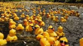Duck Derby