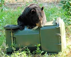 How to keep bears out of your garden. Keep Bears Out Of Food Garbage Pet Food Livestock Feed Crops