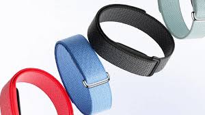 Pulsera Google Fitbit Air