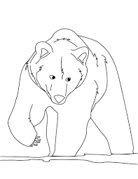 Oct 22, 2021 · what is this coloring of the court? Free Printable Bear Coloring Pages For Kids